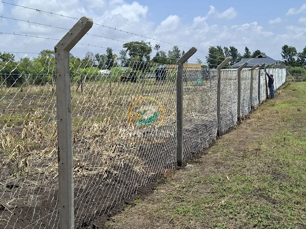 Chainlink fence installation with concrete posts in Kenya farmland