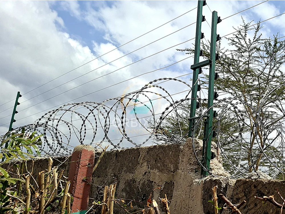 razor-wire-installation-kenya