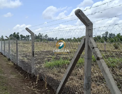 Chainlink Fence Installation Kirinyaga