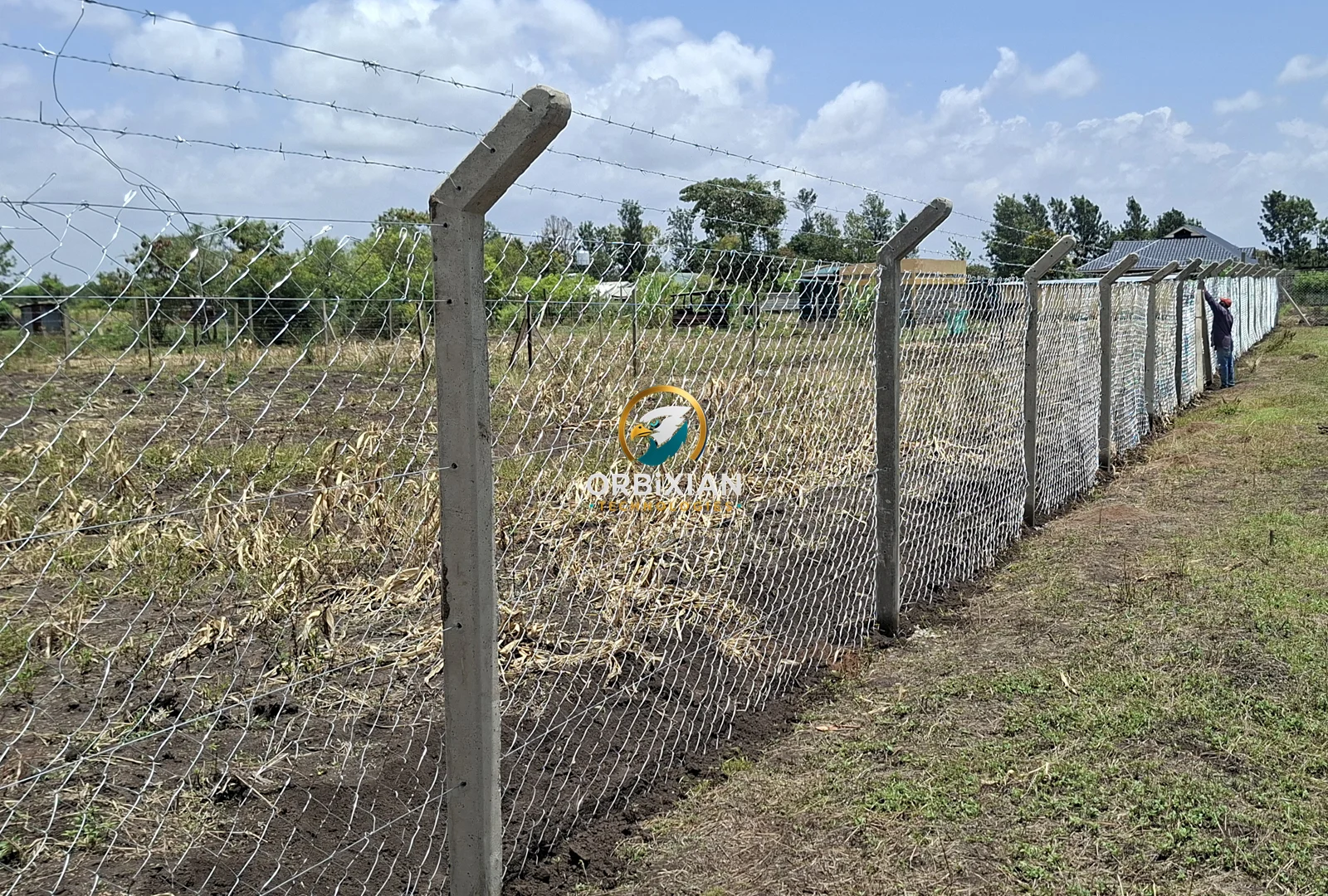 Long chainlink fence with concrete posts and barbed wire installed in Kirinyaga Kenya