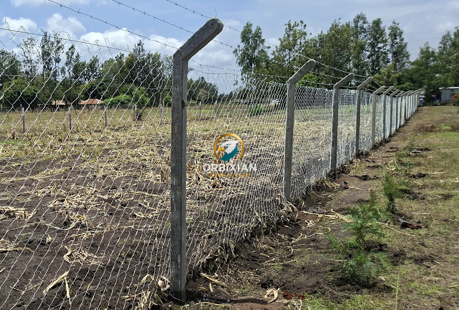 Galvanized chainlink fencing installed on concrete posts for property perimeter in Kirinyaga